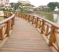 �������û���ľ��